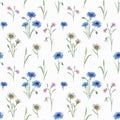 Watercolor wild flowers collection. Hand drawn illustration