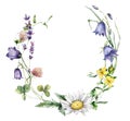 Watercolor meadow flowers wreath of chamomile, campanula, clover and celandine. Hand painted floral card of wildflowers