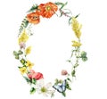 Watercolor meadow flowers wreath of poppy, bedstraw, buttercup and butterfly. Hand painted floral card of wildflowers