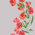 Watercolor meadow poppy on gray background. Seamless pattern for design.