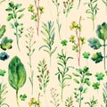 Watercolor meadow weeds and herbs seamless pattern