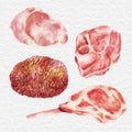 watercolor meat beef and chicken element clip art