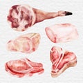 watercolor meat beef and chicken element clip art