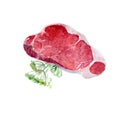 Watercolor meat