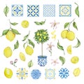 Watercolor mediterranean set, juicy lemons, leaves, flowers, Italian tiles