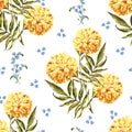 Watercolor merigold on white background. Floral seamless pattern for design.