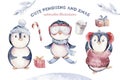 Watercolor merry christmas character penguin illustration. Winter cartoon isolated cute funny animal design card. Snow