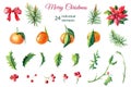 Watercolor Merry Christmas elements.Red poinsettia flowers,Holly,leaves,tangerines,berries,pine,spruce,green twigs on white Royalty Free Stock Photo