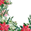 Watercolor Merry Christmas Frame with Red poinsettia flowers,Holly,leaves,berries,pine,spruce,green twigs on white Royalty Free Stock Photo