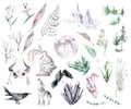 Watercolor Middle Age clipart collection. Wild animals, gems, landscape elements, herbs and flowers, historical spirit