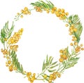 Watercolor mimosa wreath. Yellow spring floral frame. Hand-drawn illustration. Royalty Free Stock Photo