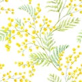 Watercolor mimosa vector pattern