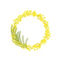 Watercolor mimosa wreath on white background. Round frame of yellow spring flowers. Hand drawn botanical illustration Royalty Free Stock Photo