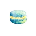 Watercolor mint macaroon isolated on white background. Hand drawn illustration on paper