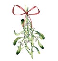 Watercolor mistletoe composition. Hand painted mistletoe bouquet of branch with white berry and red bow isolated on