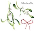 Watercolor mistletoe set. Hand painted mistletoe branch with white berry and red bow isolated on white background