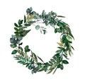 Watercolor modern decorative element. Eucalyptus round Green leaf Wreath, greenery branches, garland, border, frame, elegant