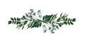 Watercolor modern decorative element. Eucalyptus round Green leaf Wreath, greenery branches, garland, border, frame, elegant