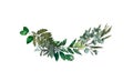 Watercolor modern decorative element. Eucalyptus round Green leaf Wreath, greenery branches, garland, border, frame, elegant