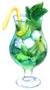 Watercolor mojito lime ice mint cocktail vector isolated