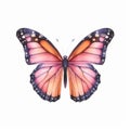 Watercolor Butterfly: Dreamy Monarch Wings In Blush Pink