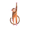 Watercolor Monkey Royalty Free Stock Photo
