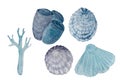 Watercolor monochromatic set of shells, a polyp and a coral isolated white Royalty Free Stock Photo