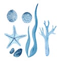 Watercolor monochromatic set of shells, a polyp, a seaweed and a coral isolated white Royalty Free Stock Photo