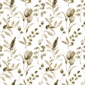 Watercolor monochrome tulip big seamless pattern. Hand painted sepia flowers and berries with eucalyptus leaves and