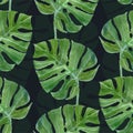 Watercolor monstera leaf seamless pattern