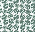 Watercolor monstera leaf seamless pattern illustration idea for background Royalty Free Stock Photo