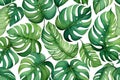 Watercolor monstera leaf seamless pattern. Watercolor vectors Royalty Free Stock Photo