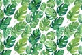 Watercolor monstera leaf seamless pattern. Watercolor vectors Royalty Free Stock Photo