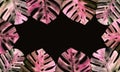 Watercolor monstera pink leaves on dark background. Botanical nature frame with place for text. Rectangle. Flat lay