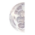 Watercolor moon. Phases of the waning moon. Astrology, astronomy, esotericism, magic, divination. A symbol of a new beginning
