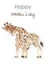 Watercolor mothers day card with giraffes, mom and baby, illustration, safari Royalty Free Stock Photo