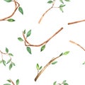 Watercolor multi directional seamless pattern with branches and leaves on a white background