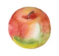 Watercolor multicolor tasty raw apple on white