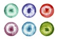 Watercolor multicolored circles