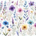 Watercolor multicolored wild flowers pattern, Blooming spring flowers Royalty Free Stock Photo