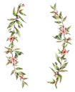 Watercolor Myrtle. Vintage Watercolor Wreath with Green Leaves, Twigs, Berries, Branches of Myrtle