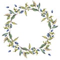 Watercolor Myrtle. Vintage Watercolor Wreath With Green Leaves, Twigs, Berries, Branches Of Myrtle