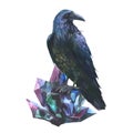 Watercolor mystic illustration, raven sitting on the crystal, isolated on white background