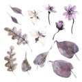 Watercolor mystical collection. Flowers, leaves and plants.