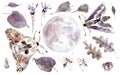 Watercolor mystical collection. Moon, moths, leaves and plants.