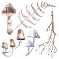 Watercolor mystical collection. Mushrooms, branches and plants.