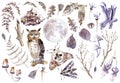 Watercolor mystical collection. Owls, crystal, butterflies, mushrooms and plants.