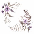 Watercolor mystical compositions. Flowers and plants Brown and violet