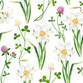 Watercolor narcissus and clover flower seamless pattern. Hand drawn daffodil and trifolium pratense illustration