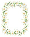 Watercolor narcissus flower rectangle frame. Hand drawn daffodil wreath illustration isolated on white background